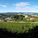 schönes Breitbildfoto mit Blick ins Mendrisiotto. Die Sicht reicht bis nach Varese