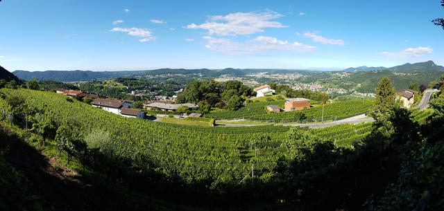 schönes Breitbildfoto mit Blick ins Mendrisiotto. Die Sicht reicht bis nach Varese