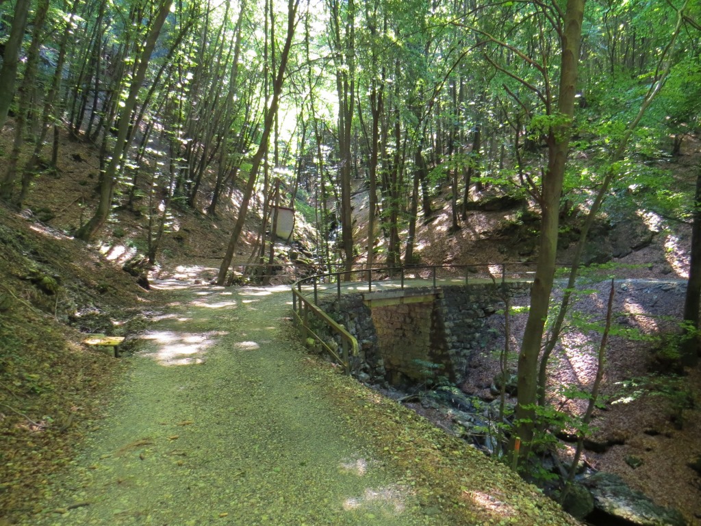 ...und ein nochmaliges überqueren einer Brücke 898 m.ü.M., den Wald und zugleich die Valle dell' Alpe