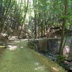 ...und ein nochmaliges überqueren einer Brücke 898 m.ü.M., den Wald und zugleich die Valle dell' Alpe