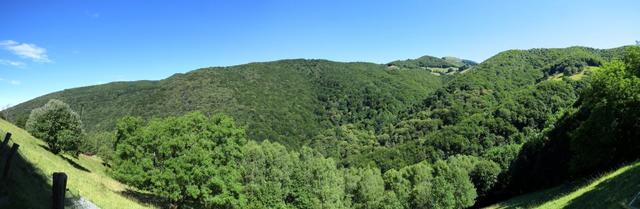 schönes Breitbildfoto mit Blick in den dichten Wald unterhalb der Monte Generoso