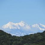 die Sicht reicht bis zum Täschhorn und Dom