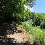 auf gutem, weiterhin schattigen Weg wandern wir dann durch Laubwald - in Nähe der Bahnlinie - höher...