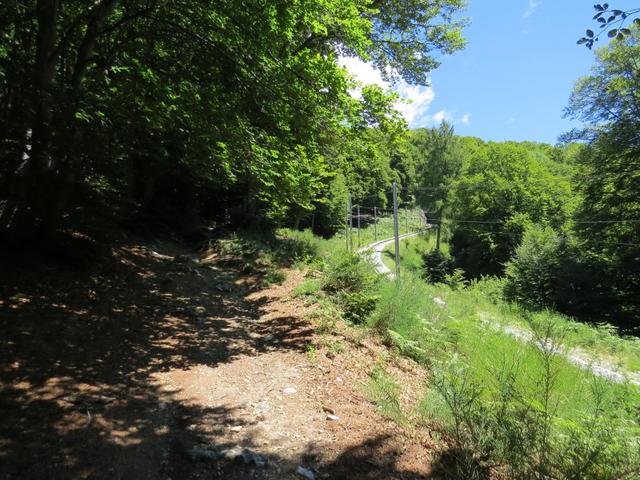 auf gutem, weiterhin schattigen Weg wandern wir dann durch Laubwald - in Nähe der Bahnlinie - höher...