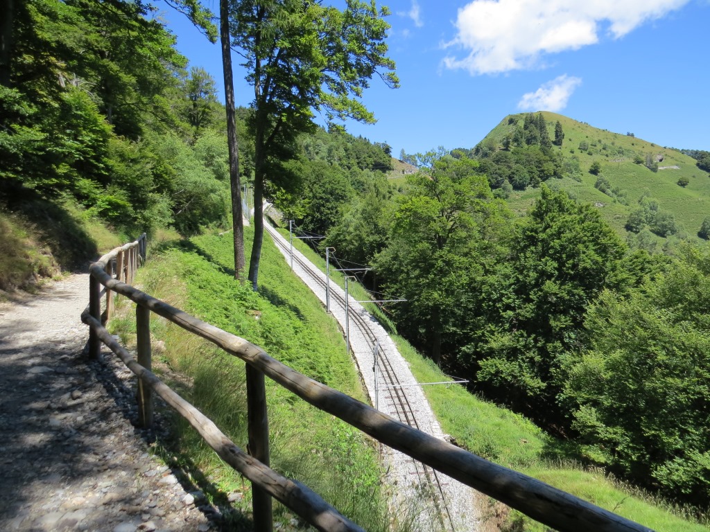 ...und erreichen eine Kuppe. Am höchsten Punkt dieser Kuppe passieren wir eine bewaldete Felsnase...