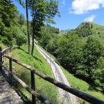 ...und erreichen eine Kuppe. Am höchsten Punkt dieser Kuppe passieren wir eine bewaldete Felsnase...