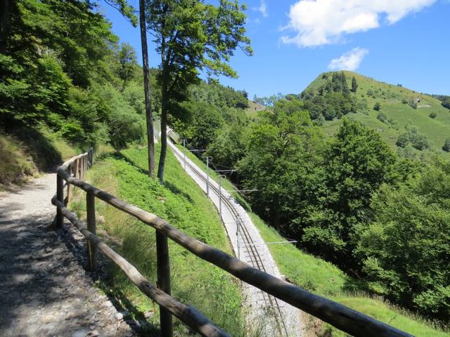 ...und erreichen eine Kuppe. Am höchsten Punkt dieser Kuppe passieren wir eine bewaldete Felsnase...