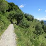 wir wandern nun auf einem breiten Bergpfad bequem unterhalb der Bahntrasse stets aufwärts Richtung Bergstation