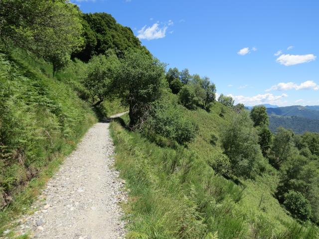 wir wandern nun auf einem breiten Bergpfad bequem unterhalb der Bahntrasse stets aufwärts Richtung Bergstation