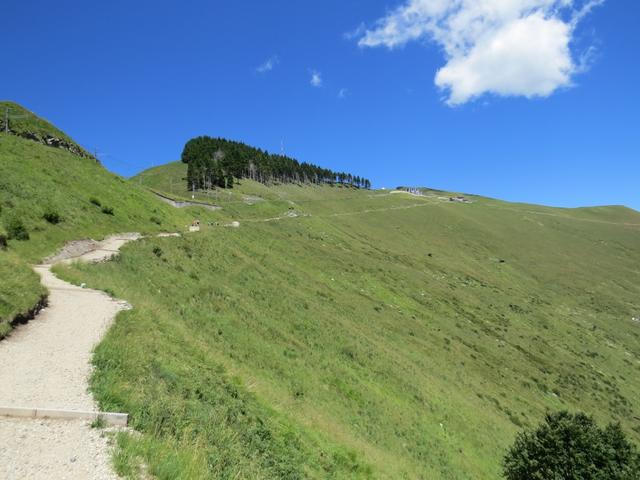 ...treten in offenes Gelände, und blicken hinauf zur Bergstation