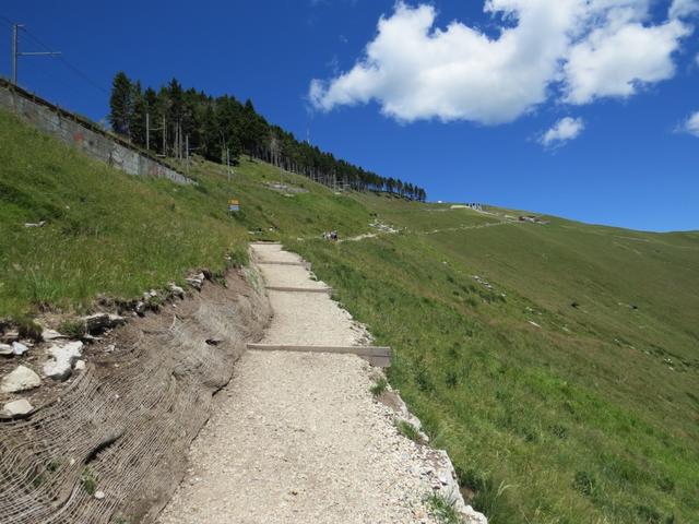 im Frühling sind die Hänge am Monte Generoso ein einziges Blumenmeer