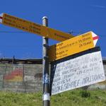 bei der Weggabelung 1447 m.ü.M. zweigt rechts eine markierte Spur zu den Alpen von Génor und Nadigh ab