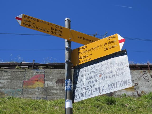 bei der Weggabelung 1447 m.ü.M. zweigt rechts eine markierte Spur zu den Alpen von Génor und Nadigh ab