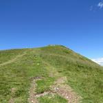 nur noch wenige Meter trennen uns nun vom Gipfel des Monte Generoso