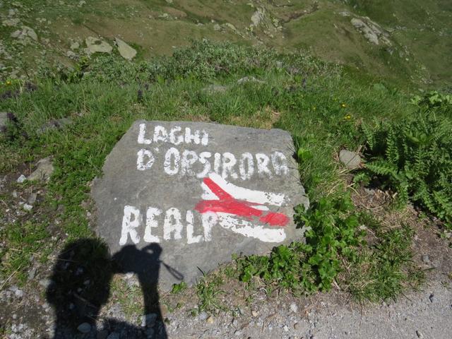 über eine Alpstrasse geht es nun rechts um den Mottolone, herum bis wir eine kleine Weggabelung erreichen