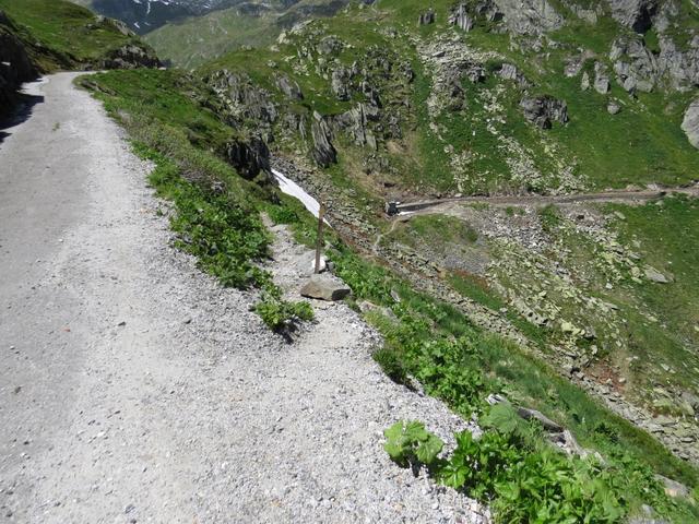 wir verlassen nun den Fahrweg und tauchen rechts ab zu einem Wanderweg