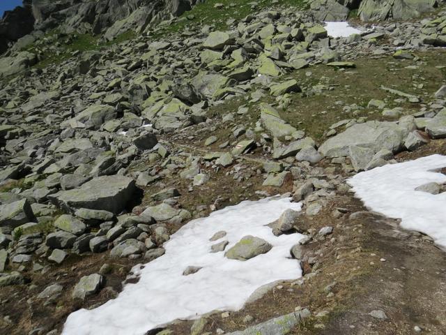...und stehen dann bald wieder auf dem Hauptweg