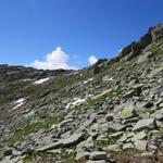 über die Kuppe am Horizont wird uns der Wanderweg nun weiter führen