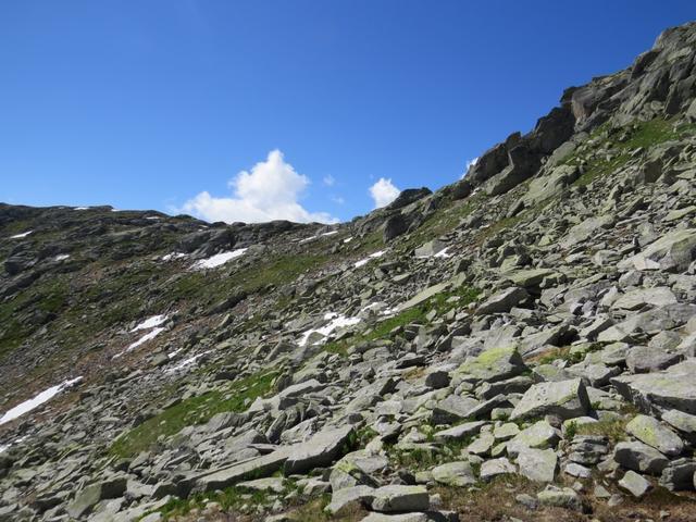 über die Kuppe am Horizont wird uns der Wanderweg nun weiter führen