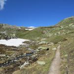 der fast ebene Wanderweg führt uns nun südwärts Richtung Passo d'Orsirora