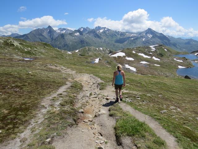 wir wandern nun wieder zurück zur Wegkreuzung bei der Bassa Valletta 2484 m.ü.M.