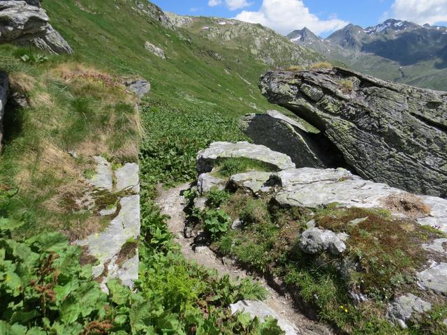 bei den Alphütten von Gana 2232 m.ü.M.