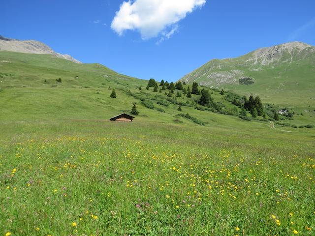 über eine sehr schöne Alpweide mit einer unglaublichen Blumenpracht steigen wir von diesem Tobel aufwärts