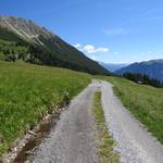 bei Cogns 1975 m.ü.M. erreichen wir die Alpstrasse...