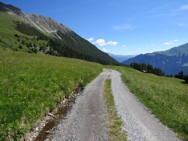 bei Cogns 1975 m.ü.M. erreichen wir die Alpstrasse...