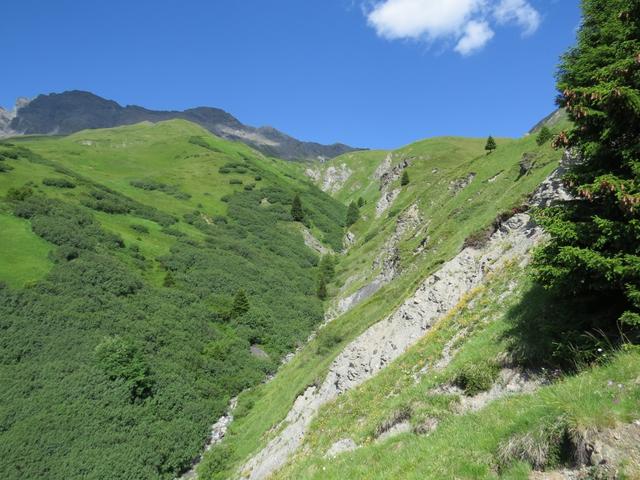 der Wanderweg führt rechts am Tobel entlang...