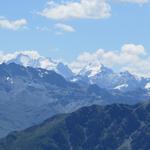 unglaublich! die Sicht reicht bis zum Piz Bernina mit Biancograt, Piz Scerscen und Piz Roseg