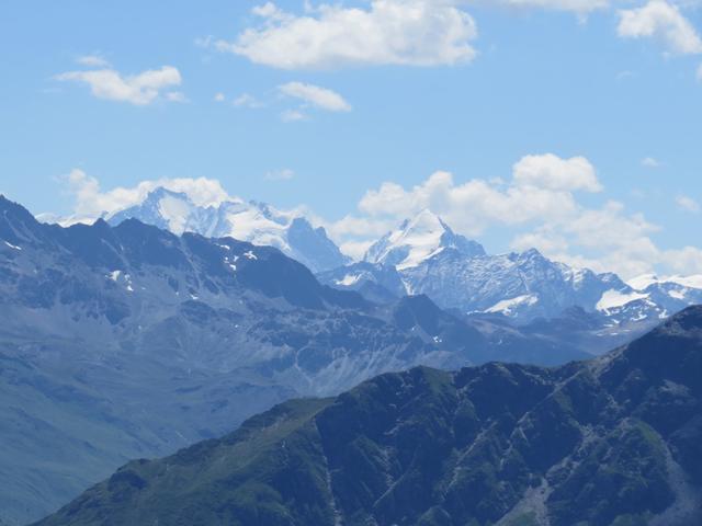 unglaublich! die Sicht reicht bis zum Piz Bernina mit Biancograt, Piz Scerscen und Piz Roseg