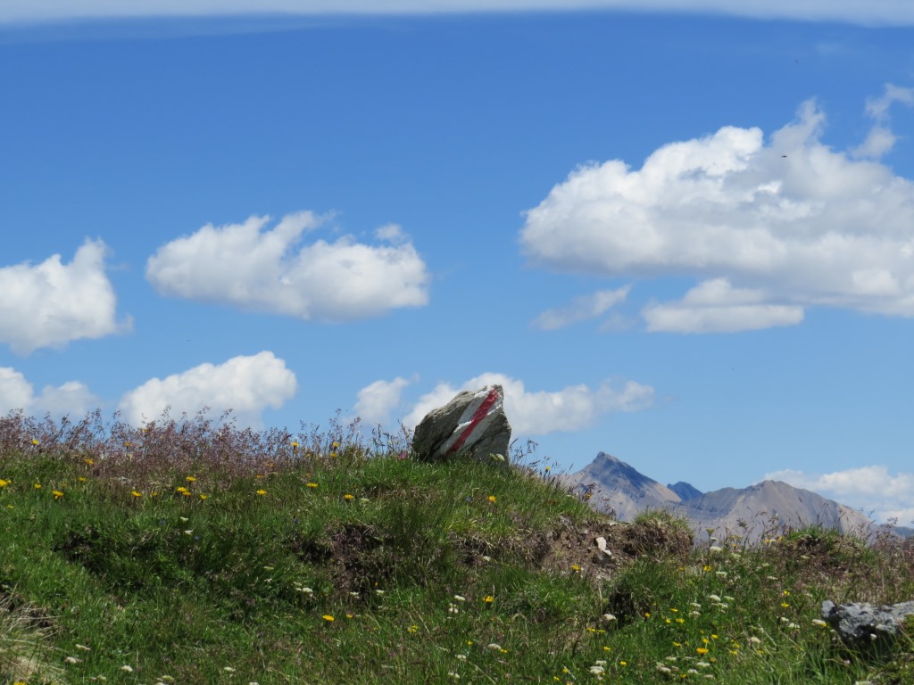 der Wanderweg ist immer gut markiert...