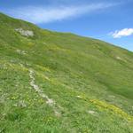 der Wanderweg wird jetzt nun leicht steiler