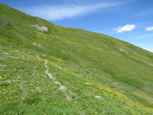 der Wanderweg wird jetzt nun leicht steiler