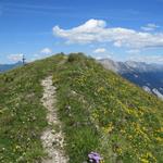 es beginnt nun eine Gratwanderung vom feinsten