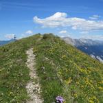 es beginnt nun eine Gratwanderung vom feinsten