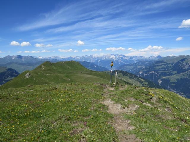 ...und erreichen die Wegkreuzung bei Punkt 2442 m.ü.M.