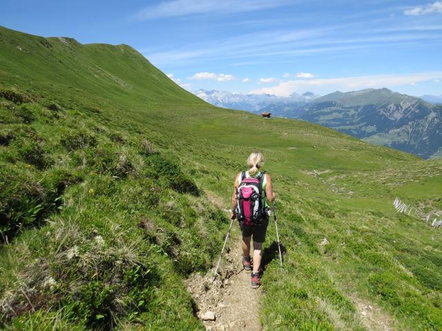 wir wandern weiter geradeaus zur Muttner Alp