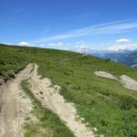 bei der Muttner Alp führt der Wanderweg einen Linksbogen durch