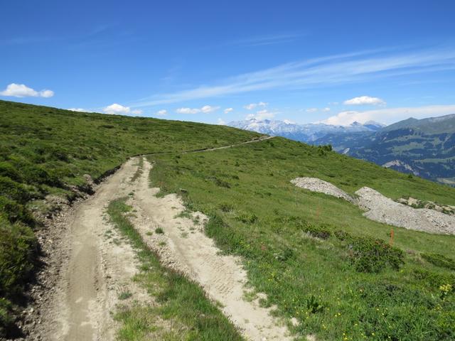 bei der Muttner Alp führt der Wanderweg einen Linksbogen durch