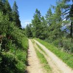 weiterhin auf der Alpstrasse bleibend, biegen wir bei Cher 1982 m.ü.M. stark links ab