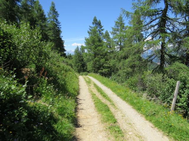 weiterhin auf der Alpstrasse bleibend, biegen wir bei Cher 1982 m.ü.M. stark links ab