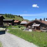 ...und erreichen über blumenreiche Trockenwiesen das wunderschön gelegene Walserdorf Obermutten 1863 m.ü.M.