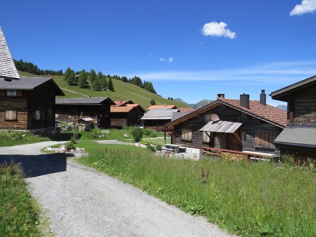 ...und erreichen über blumenreiche Trockenwiesen das wunderschön gelegene Walserdorf Obermutten 1863 m.ü.M.