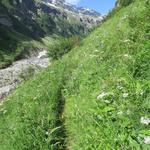 wir durchqueren steile Bergflanken mit einer unglaublichen Blumenpracht