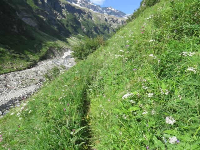 wir durchqueren steile Bergflanken mit einer unglaublichen Blumenpracht