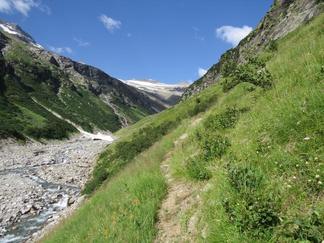 ab Punkt 1838 m.ü.M. mutiert der Bergpfad zu einem einfachen Wanderweg