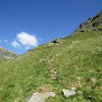 der weiterhin einfache Wanderweg führt uns nun leicht aufwärts