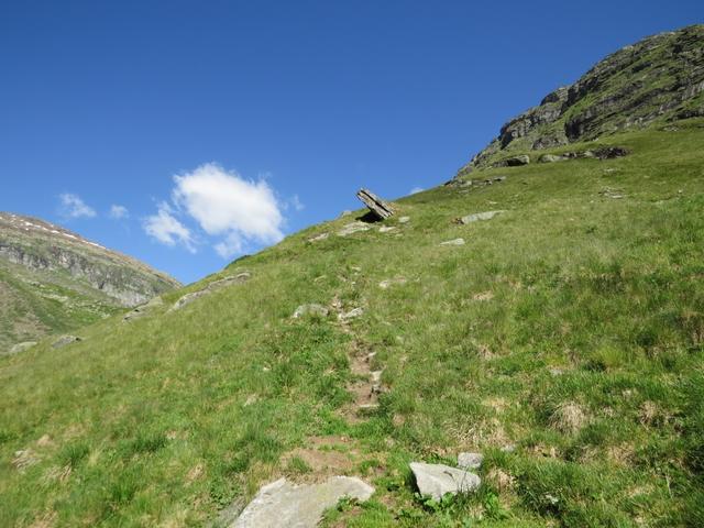 der weiterhin einfache Wanderweg führt uns nun leicht aufwärts